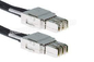 PILA - T1 - los 50CM Cisco StackWise - cable de amontonamiento 480 para el catalizador de Cisco interruptor de 3850 series
